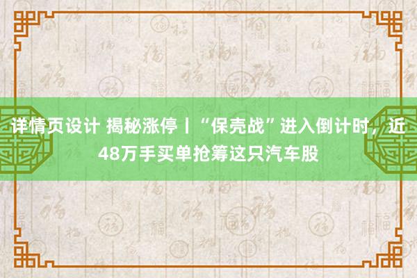 详情页设计 揭秘涨停丨“保壳战”进入倒计时，近48万手买单抢筹这只汽车股