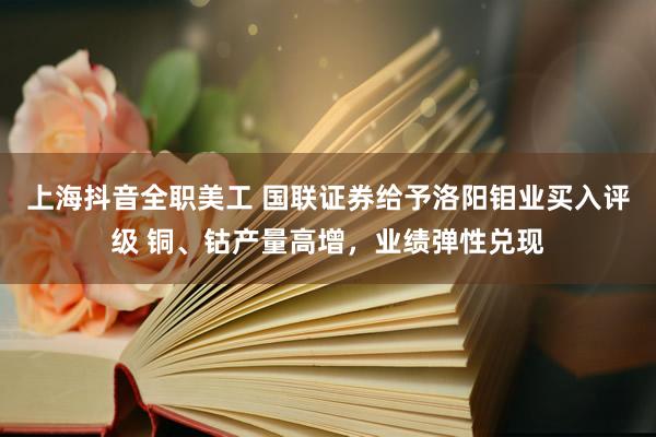 上海抖音全职美工 国联证券给予洛阳钼业买入评级 铜、钴产量高增，业绩弹性兑现