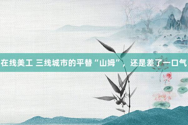 在线美工 三线城市的平替“山姆”，还是差了一口气